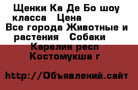 Щенки Ка Де Бо шоу класса › Цена ­ 60 000 - Все города Животные и растения » Собаки   . Карелия респ.,Костомукша г.